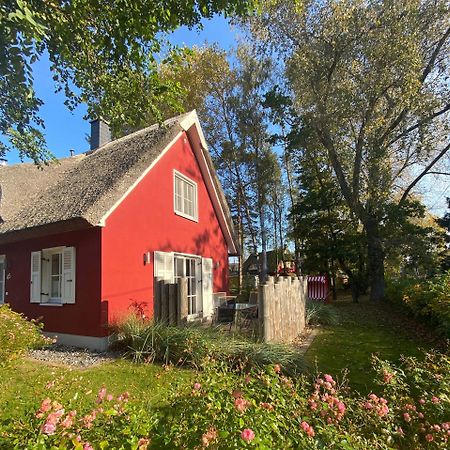 Ferienhaus Stella Glowe Exteriör bild